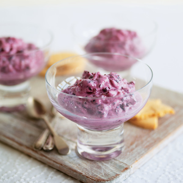 Frozen Blueberry Yogurt